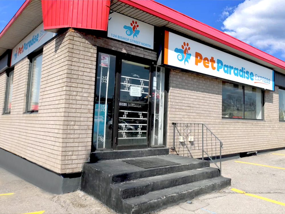 Welcome to Pet Paradise Pet Paradise