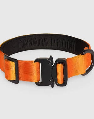 Canada Pooch Canada Pooch Utility Collar Orange