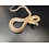 Caramel Stripe Corn Snake