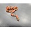 0.1 Tangerine Honduran Milk Snake