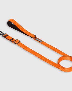 Canada Pooch Canada Pooch Utility Leash Orange