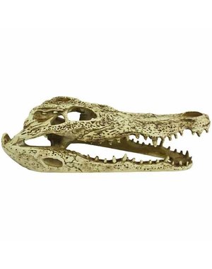 Komodo Products Komodo Alligator Skull