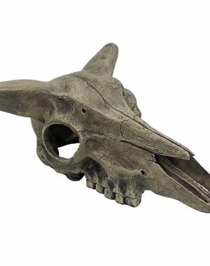 Komodo Products Komodo Deer Skull