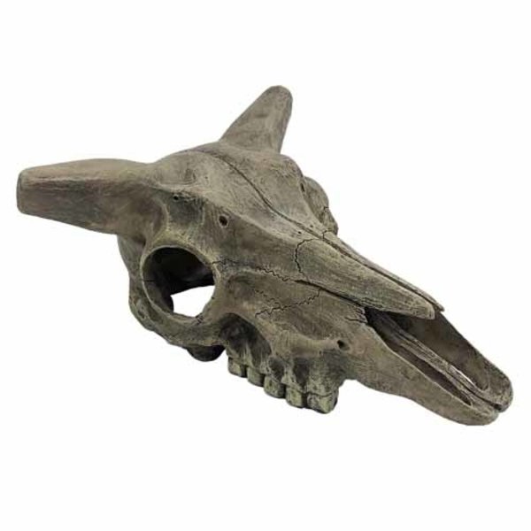 Komodo Products Komodo Deer Skull