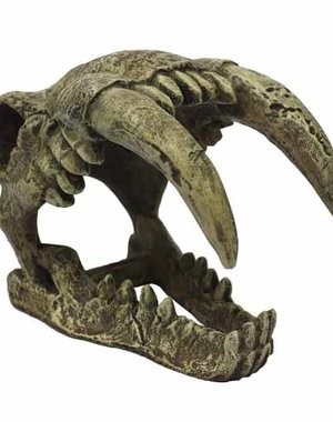 Komodo Products Komodo Saber Tooth Skull