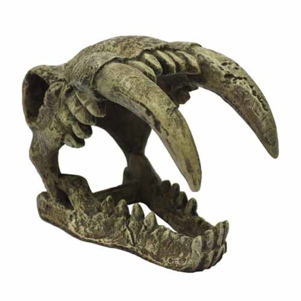Komodo Products Komodo Saber Tooth Skull