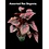 3.5" Assorted Rex Begonia