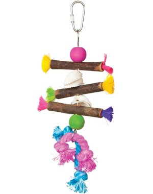 Prevue Hendryx Prevue Hendryx Playfuls Shells & Sticks