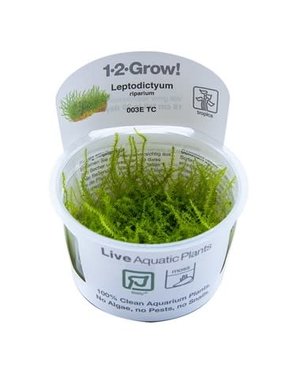 Tropica Tropica 1-2-Grow! Leptodictyum Riparium