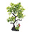 Burgham Aqua-Fit Aqua-Fit Green Japanese Maple Bonsai Plastic Plant 11"