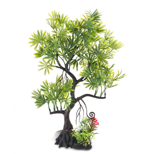 Burgham Aqua-Fit Aqua-Fit Green Japanese Maple Bonsai Plastic Plant 11"