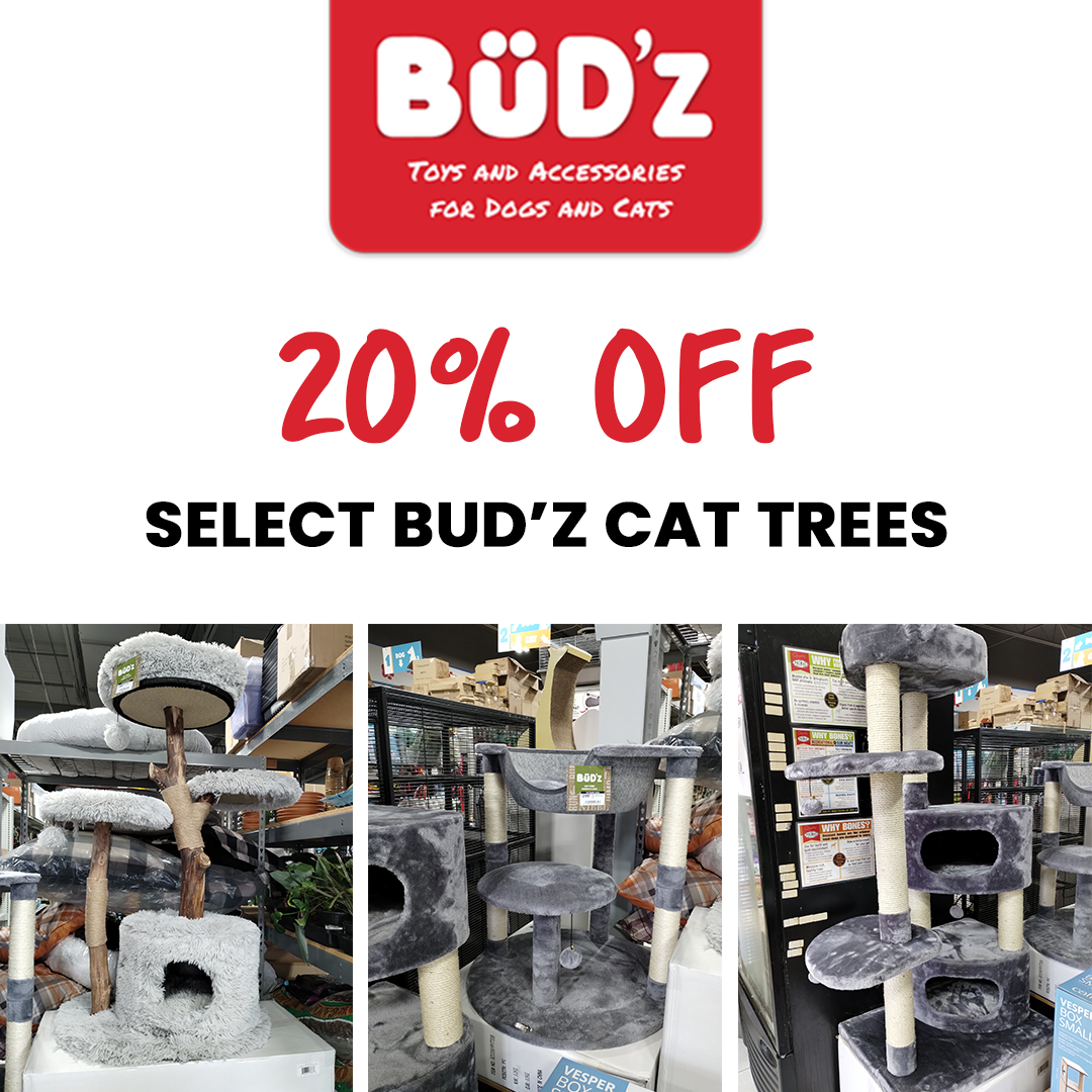 Budz Cat Tree