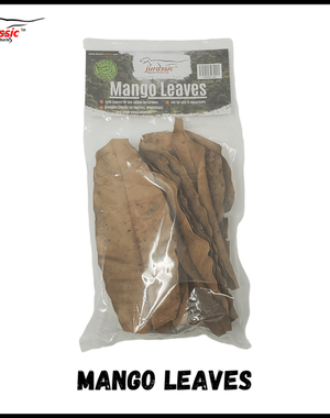 Jurassic Reptile Products Jurassic Mango Leaves