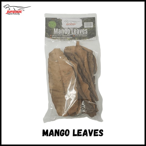 Jurassic Reptile Products Jurassic Mango Leaves