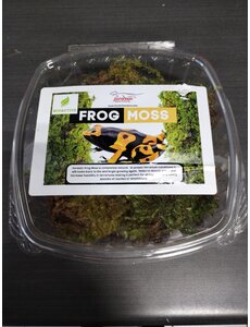 Jurassic Reptile Products Jurassic Frog Moss
