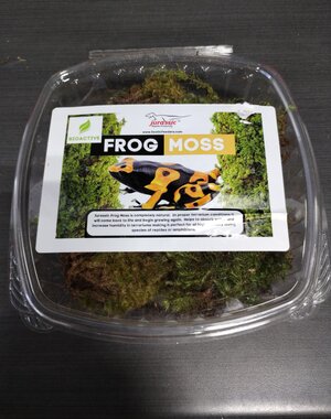 Jurassic Reptile Products Jurassic live Frog Moss