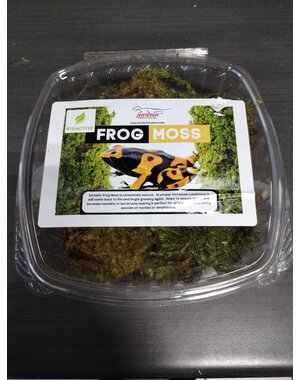 Jurassic Reptile Products Jurassic live Frog Moss