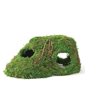  Galapagos Mossy Corner Hide