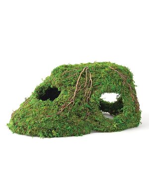  Galapagos Mossy Corner Hide