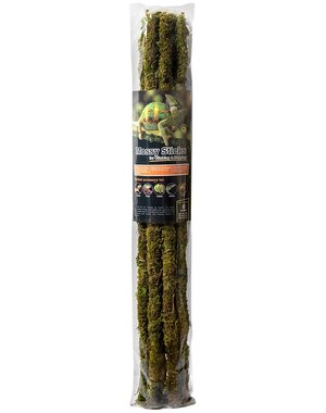 Galapagos Galapagos Mossy Sticks 6pack 24"