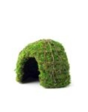 Galapagos Galapagos Mossy Dome