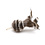 Go Cat Products Cat Lures feather Bomb