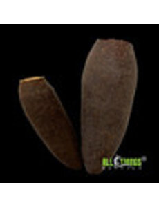 All Things Reptiles Seru Pods 2 pack