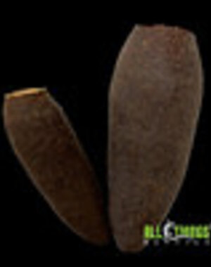  All Things Reptiles Seru Pods 2 pack