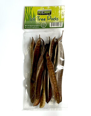  All Things Reptiles Ipil Tree Pods 10 pack