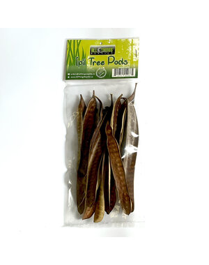  All Things Reptiles Ipil Tree Pods 10 pack