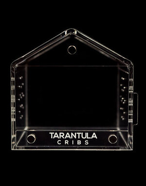  Tarantula Cribs Canopy Mini 3 x 3x 3"