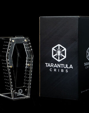 Tarantula Cribs Tarantula Cribs Coffin Crib Mini 6x 3 x 3"