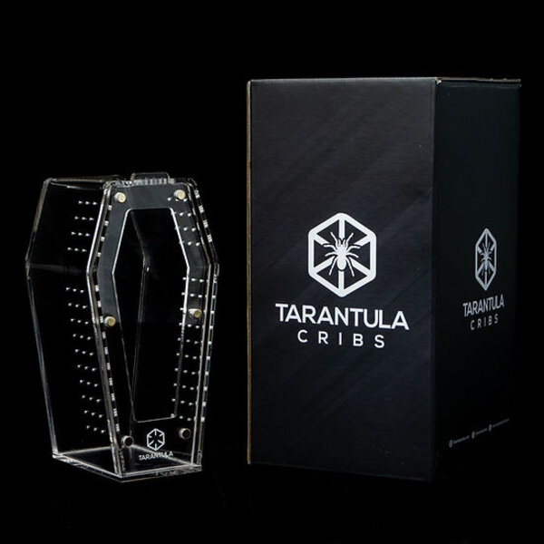Tarantula Cribs Tarantula Cribs Coffin Crib Mini 6x 3 x 3"