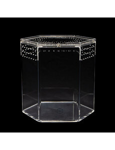 Tarantula Cribs Tarantula Cribs Hexagon Crib 5 x 5x 5"
