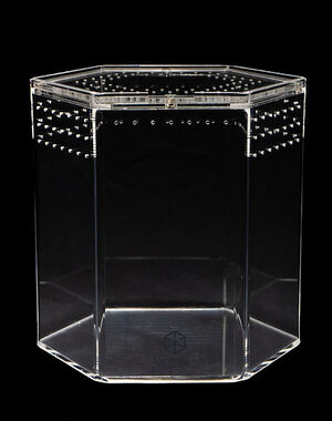 Tarantula Cribs Tarantula Cribs Hexagon Crib 5 x 5x 5"