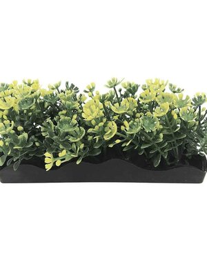 Penn-Plax Penn Plax Small Yellow Bunch Plant