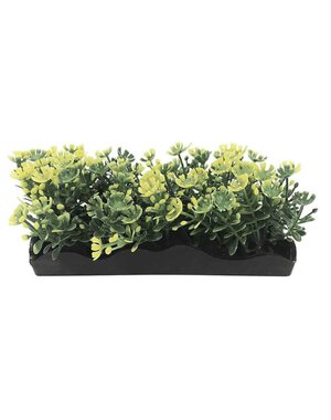 Penn-Plax Penn Plax Small Yellow Bunch Plant