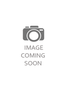 Lasiodorides polycuspulatus – (Peruvian Blonde) 1/4"