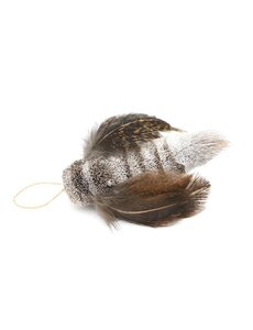 Go Cat Products Cat Lures Moth Flyer