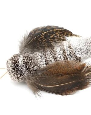 Go Cat Products Cat Lures Moth Flyer