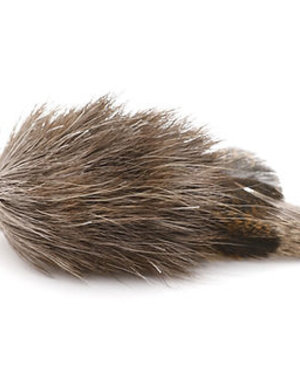 Go Cat Products Cat Lures Monster Bug