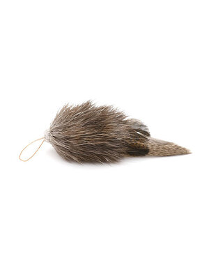Go Cat Products Cat Lures Monster Bug