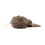 Go Cat Products Cat Lures Monster Bug