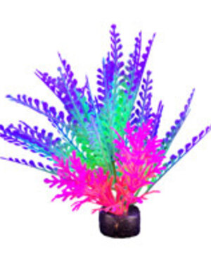 Marina Marina iGlo Plant - 14 cm (5.5 in)