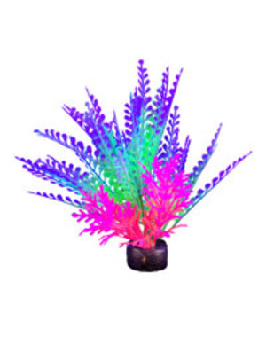 Marina Marina iGlo Plant - 14 cm (5.5 in)