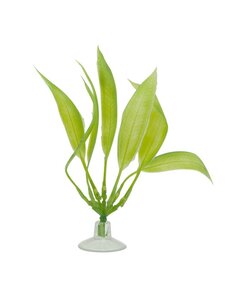 Marina Marina Betta Kit Amazon Sword Plant With Suction Cup - 12.7 cm (5in)