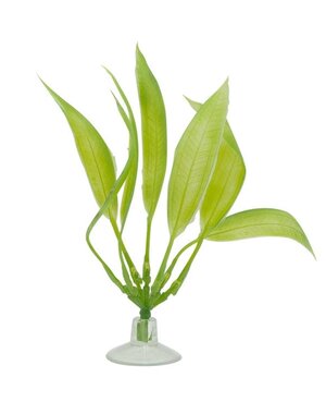 Marina Marina Betta Kit Amazon Sword Plant With Suction Cup - 12.7 cm (5in)