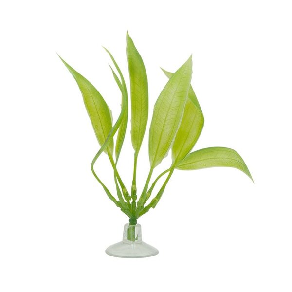 Marina Marina Betta Kit Amazon Sword Plant With Suction Cup - 12.7 cm (5in)