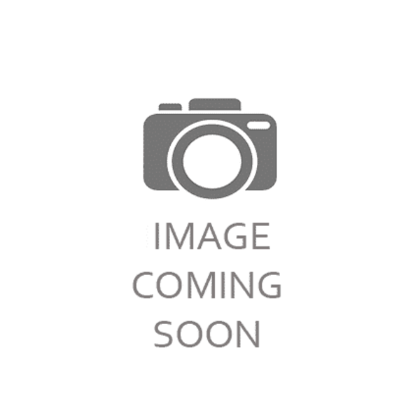 Isopods -Cubaris sp. "Rubber ducky" 6 count