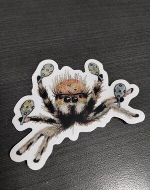Leaky Inkwell Jumping Spider Sticker